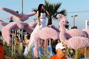 Anthestiria (Flower Festival)