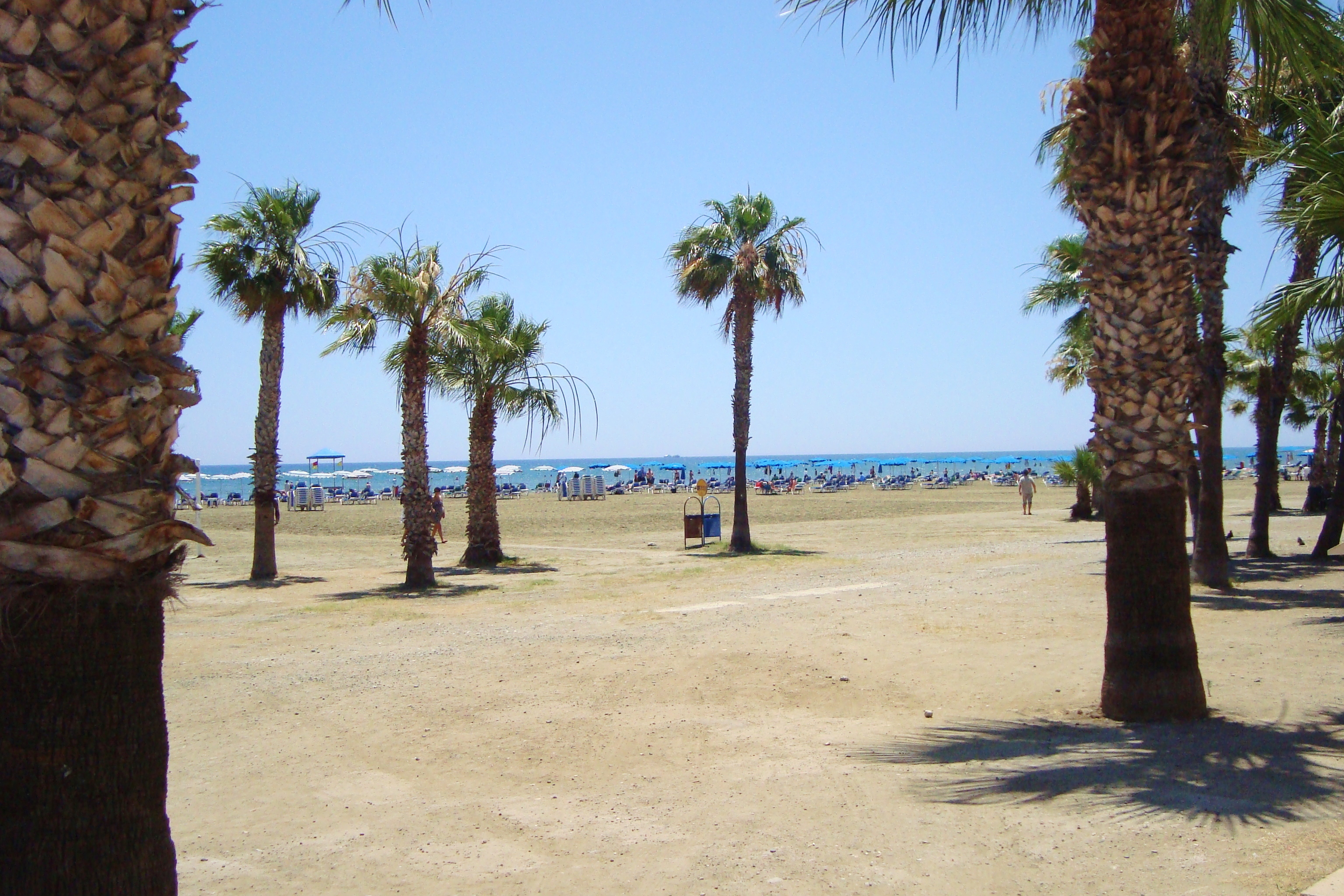 Foinikoudes beach in Larnaca