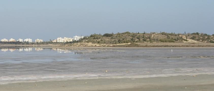 Larnaca Salt Lake