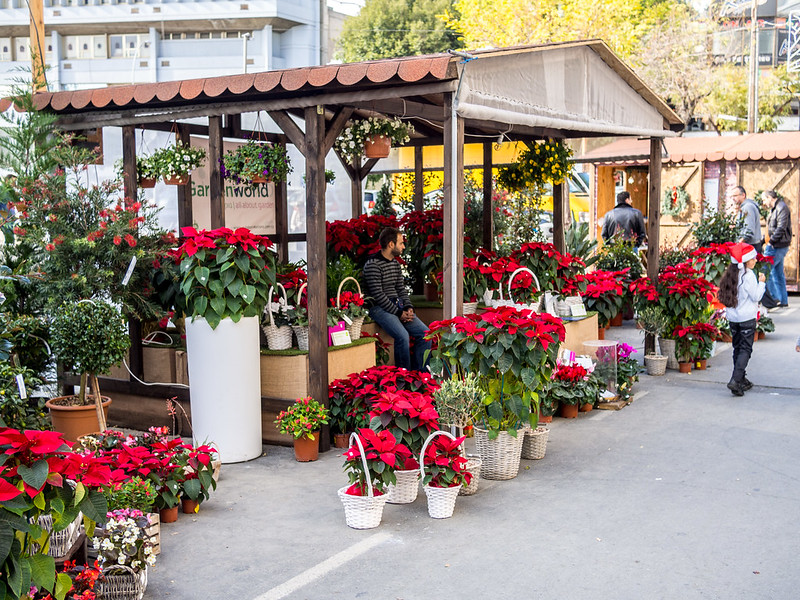 Christmas Market Larnaca