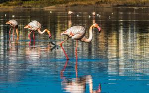 Thumbnail for Magnificent Spots in Larnaca for Photoshoots