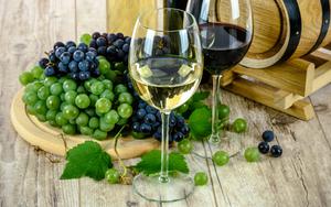 Thumbnail for 5 Best-Selling Wine & Food Tours in Larnaca