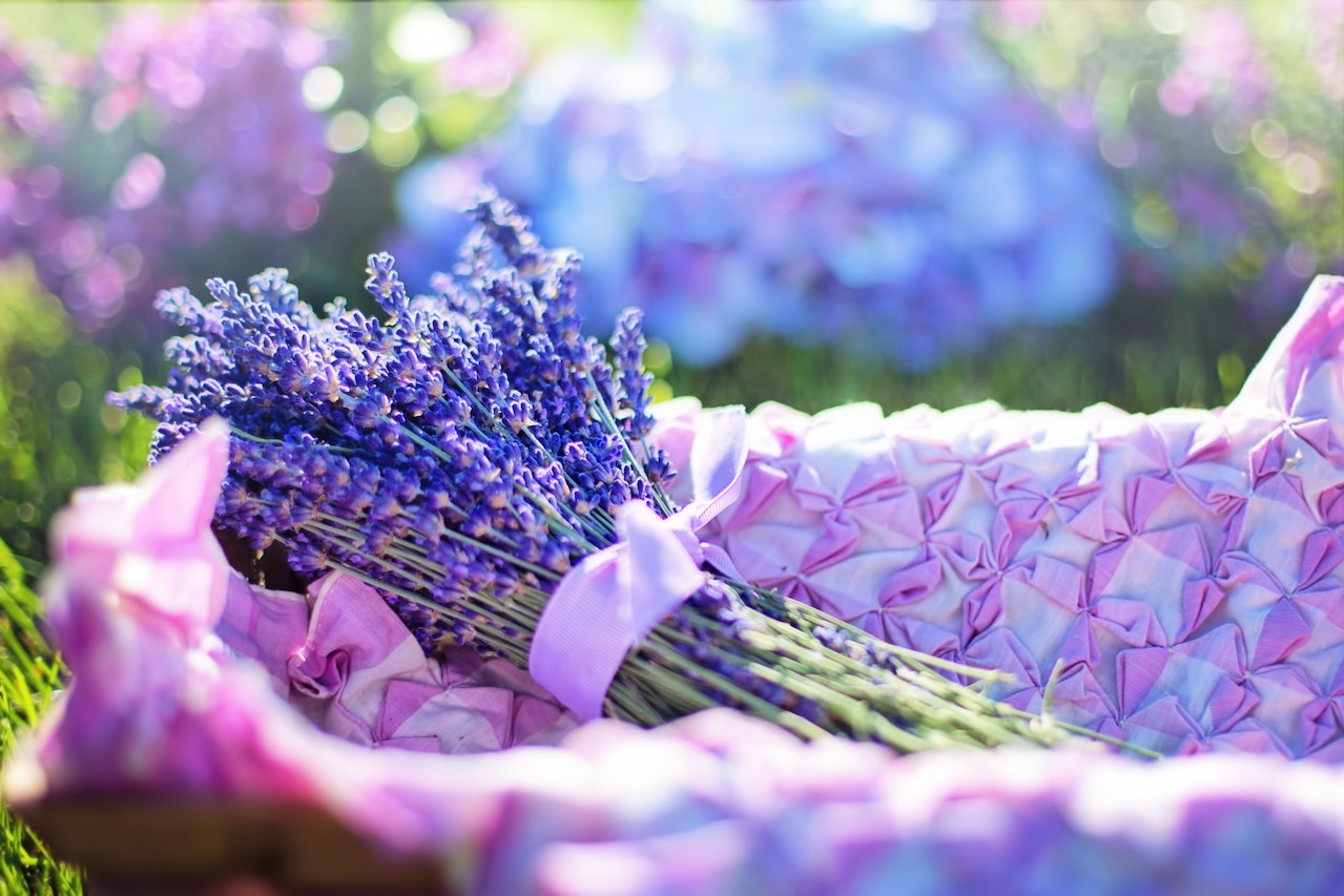 Enjoy the Lavender Festival and Day Trip to Platres Larnaca Blog